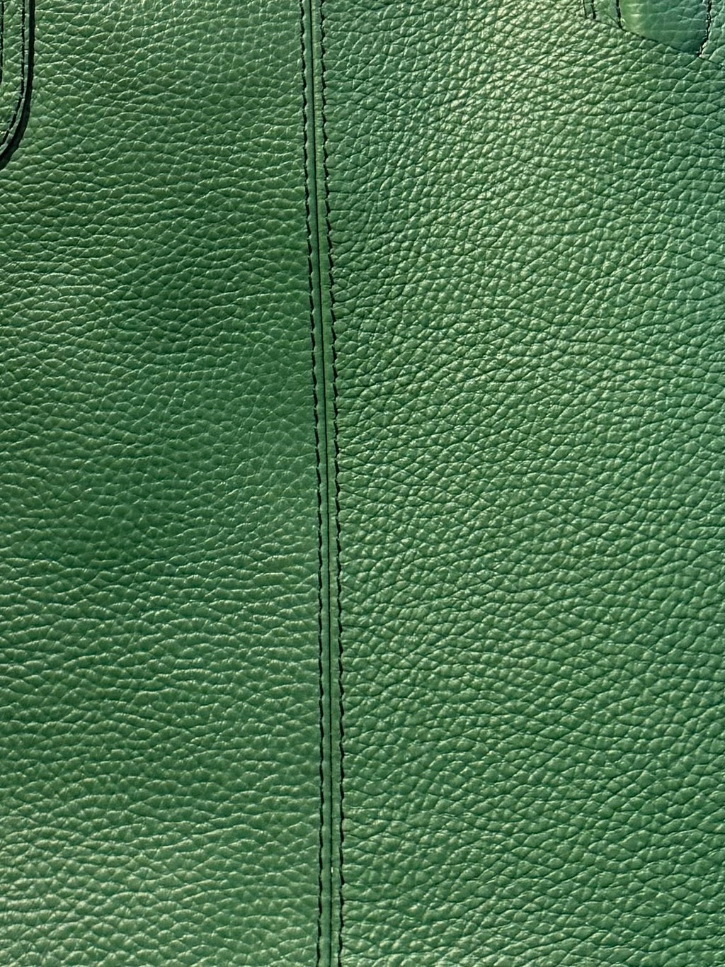 Infuse Layer Tote bag - Lychee Green24