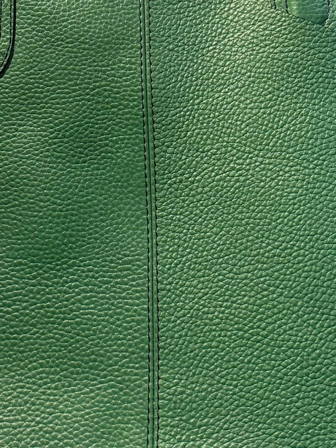 Infuse Layer Tote bag - Lychee Green24