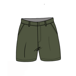 Chino Short- Forest